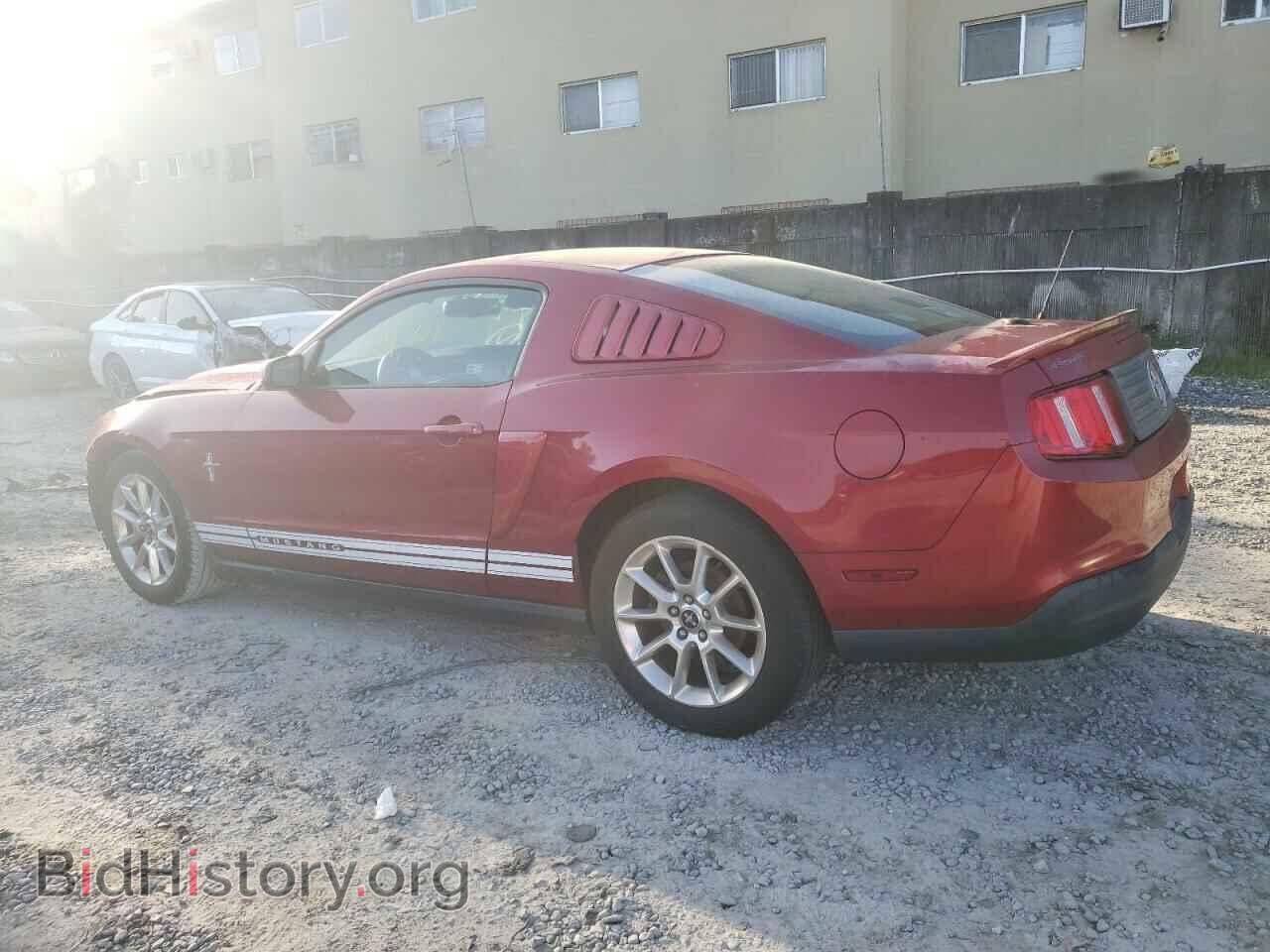 2010 FORD ALL Models - VIN: 1ZVBP8AN0A5151242 - Фото 2