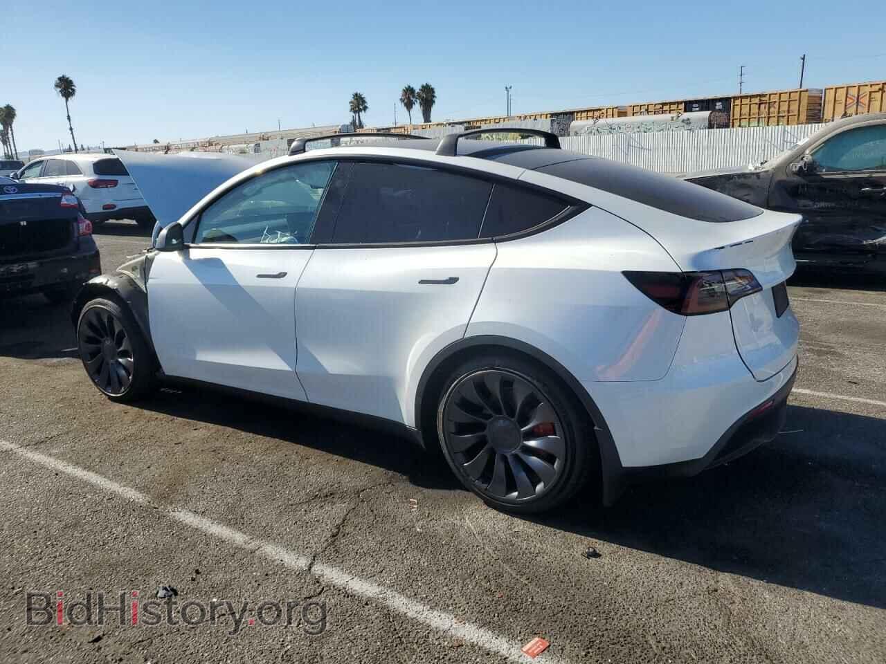 2024 TESLA MODEL Y - VIN: 7SAYGDEF0RF059523 - Фото 2