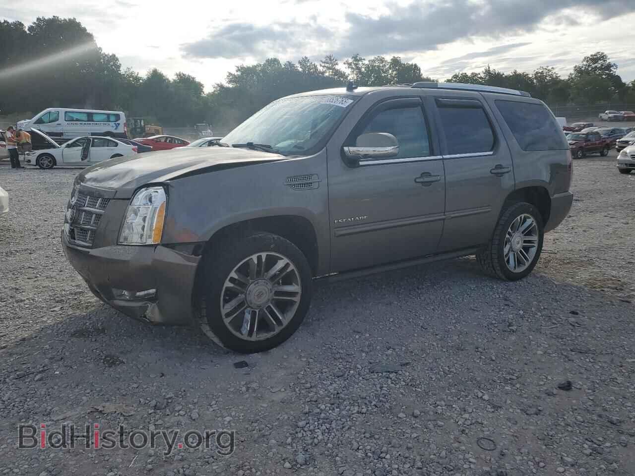 Фотография 1GYS3CEF3DR196672 - CADILLAC ESCALADE 2013