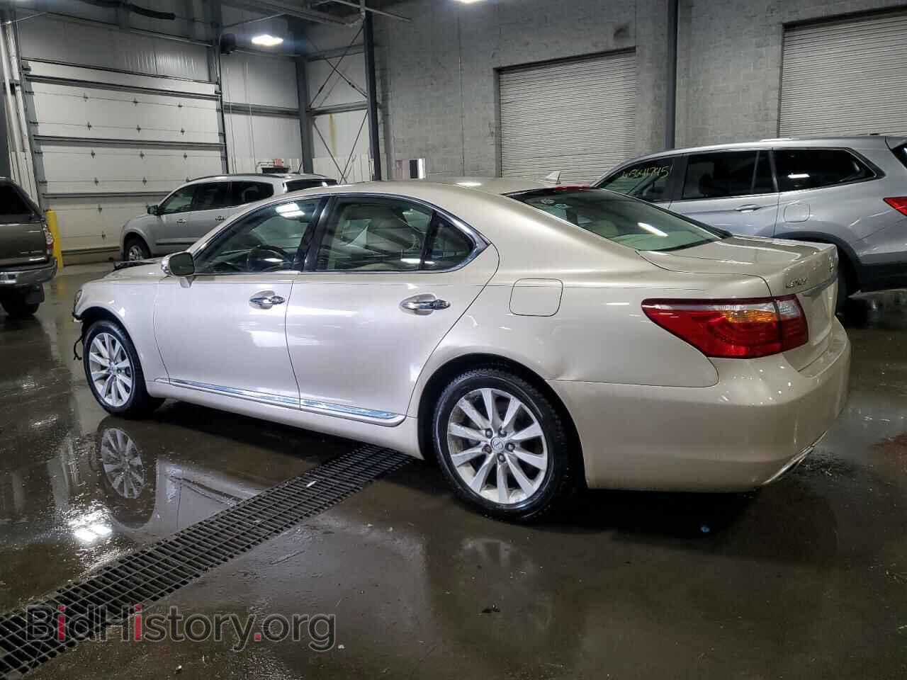 2010 LEXUS LS460 - VIN: JTHCL5EF8A5005397 - Фото 2