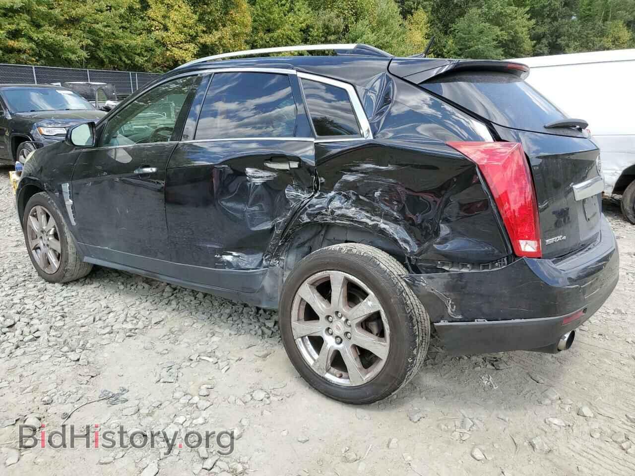 2010 CADILLAC SRX - VIN: 3GYFNEEY2AS633028 - Фото 2