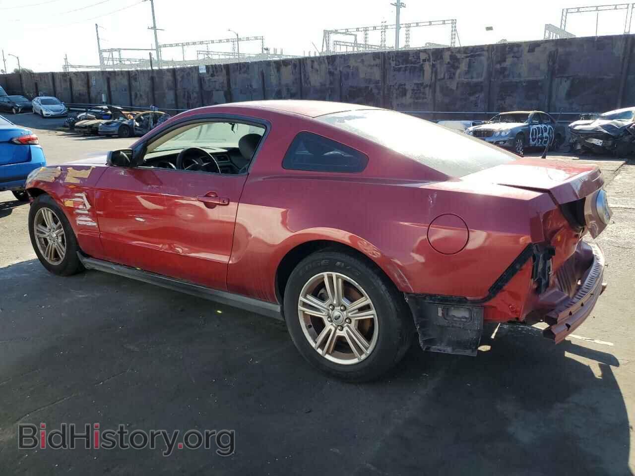 2010 FORD ALL Models - VIN: 1ZVBP8AN8A5146189 - Фото 2