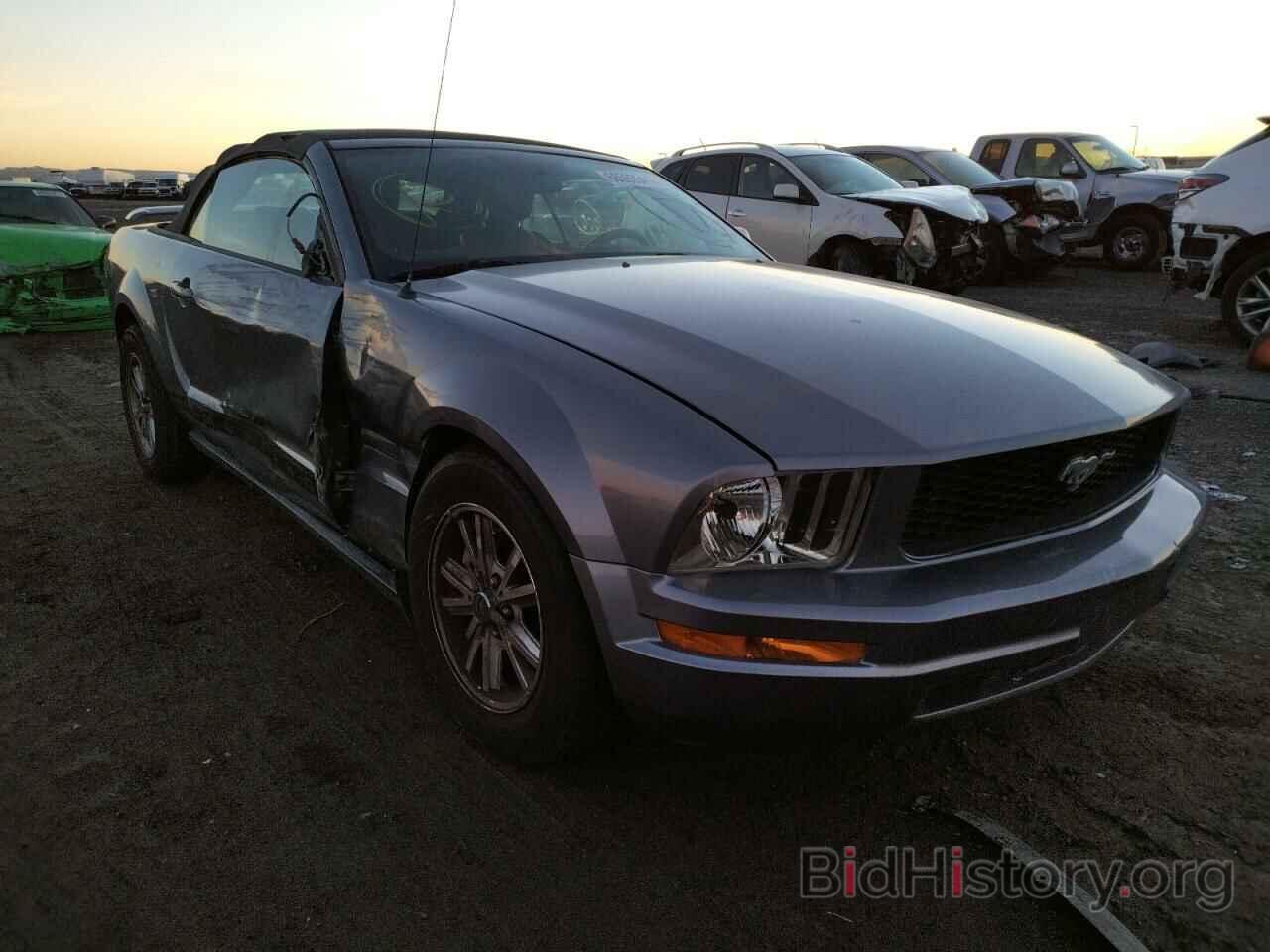 Photo 1ZVFT84N565167856 - FORD MUSTANG 2006