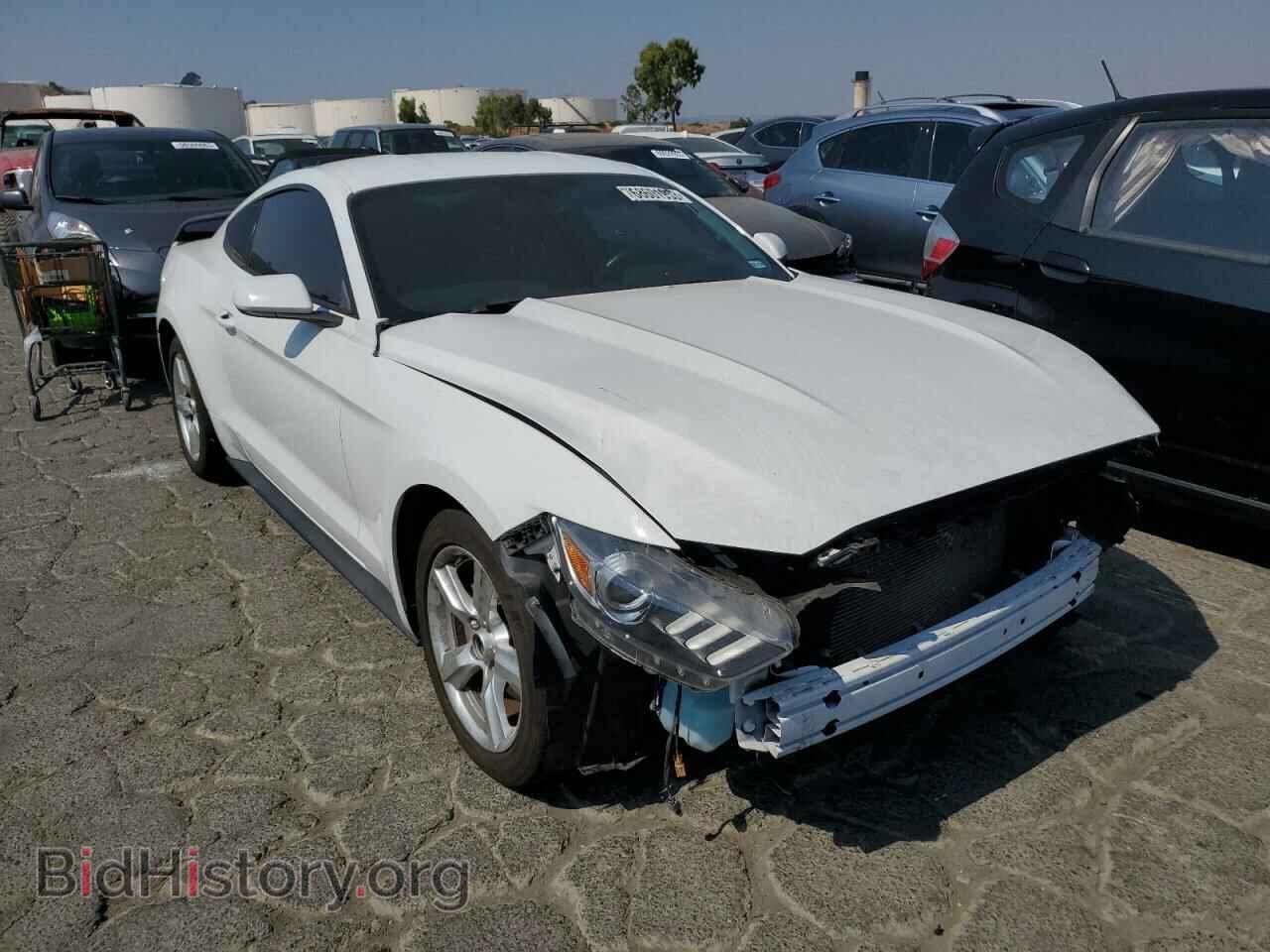2017 FORD ALL Models - VIN: 1FA6P8AM2H5265447 - Photo 4