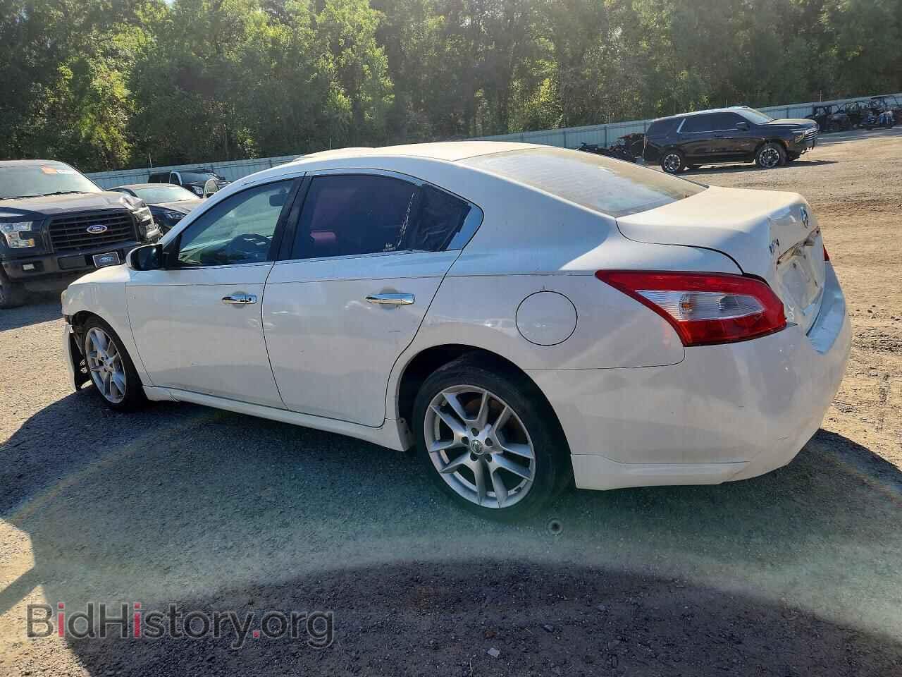 2009 NISSAN MAXIMA - VIN: 1N4AA51EX9C823223 - Фото 2
