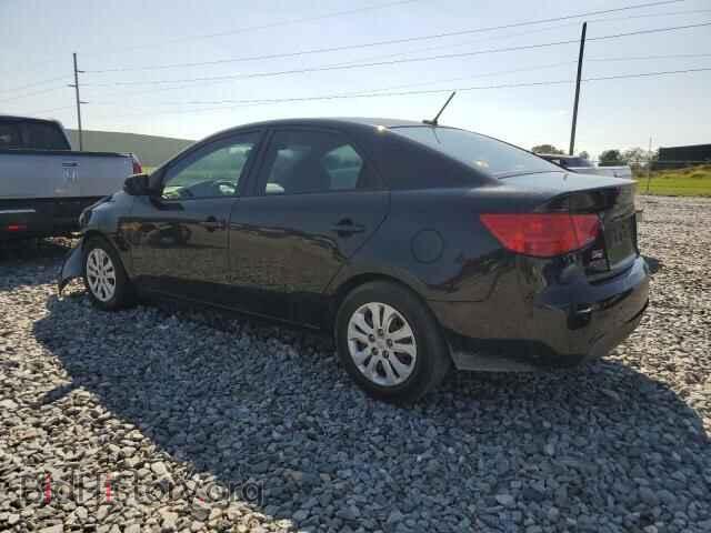 2013 KIA FORTE - VIN: KNAFU4A27D5693631 - Фото 2