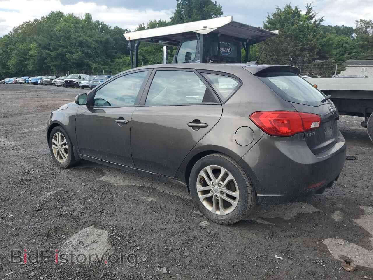 2012 KIA FORTE - VIN: KNAFU5A21C5569715 - Фото 2