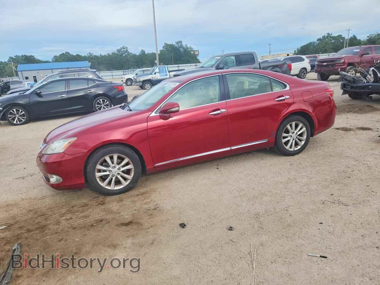Фотография JTHBK1EG2A2379649 - LEXUS ES350 2010