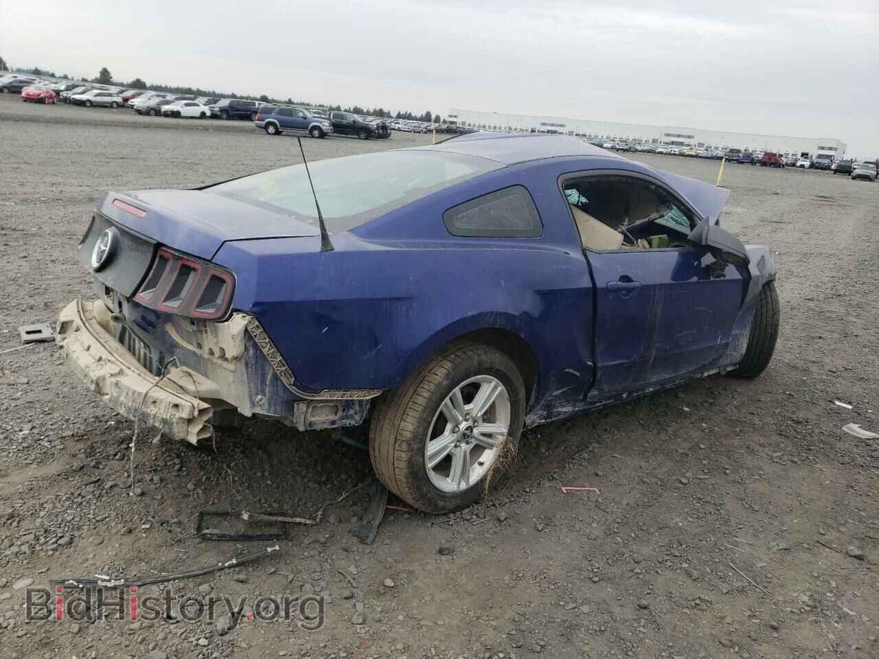 2014 FORD ALL Models - VIN: 1ZVBP8AM5E5204742 - Фото 3