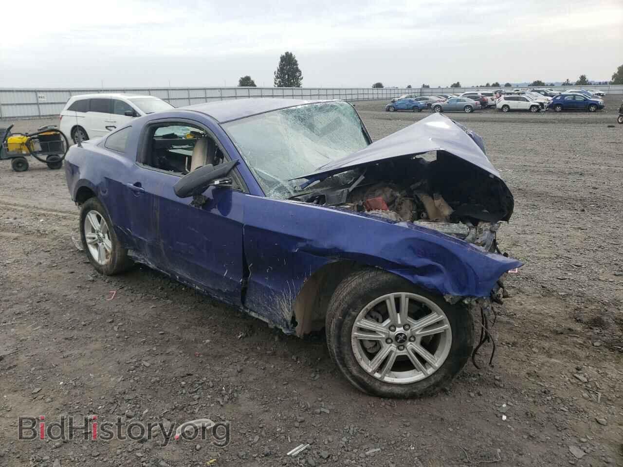 2014 FORD ALL Models - VIN: 1ZVBP8AM5E5204742 - Фото 4