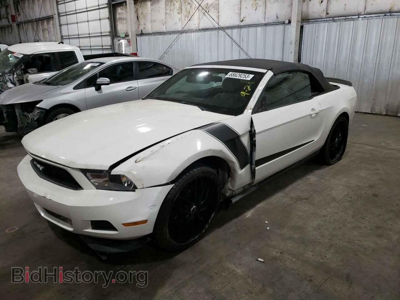 Фотография 1ZVBP8EM0C5265357 - FORD ALL Models 2012