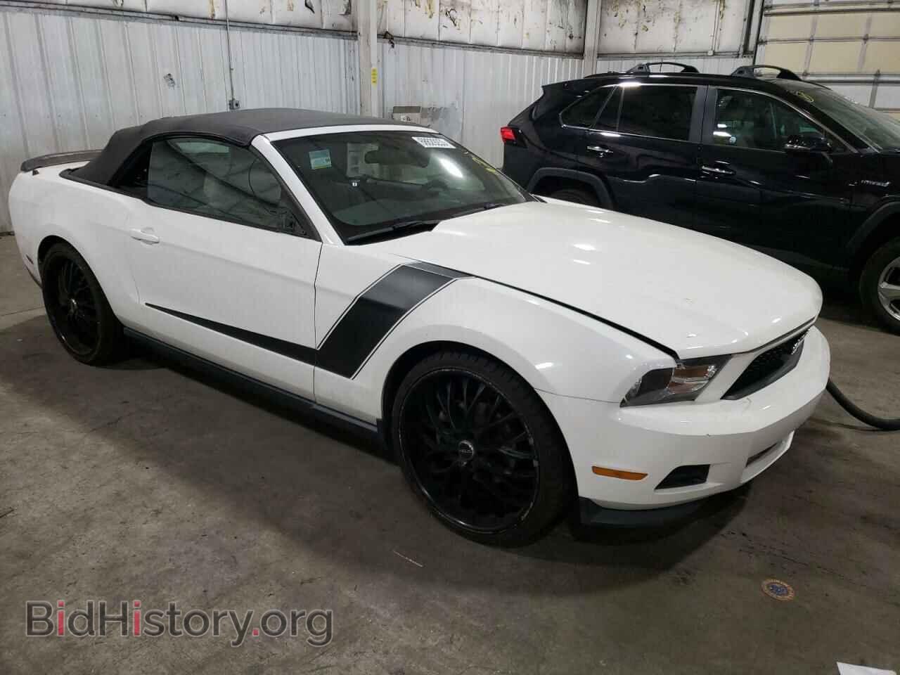 2012 FORD ALL Models - VIN: 1ZVBP8EM0C5265357 - Фото 4