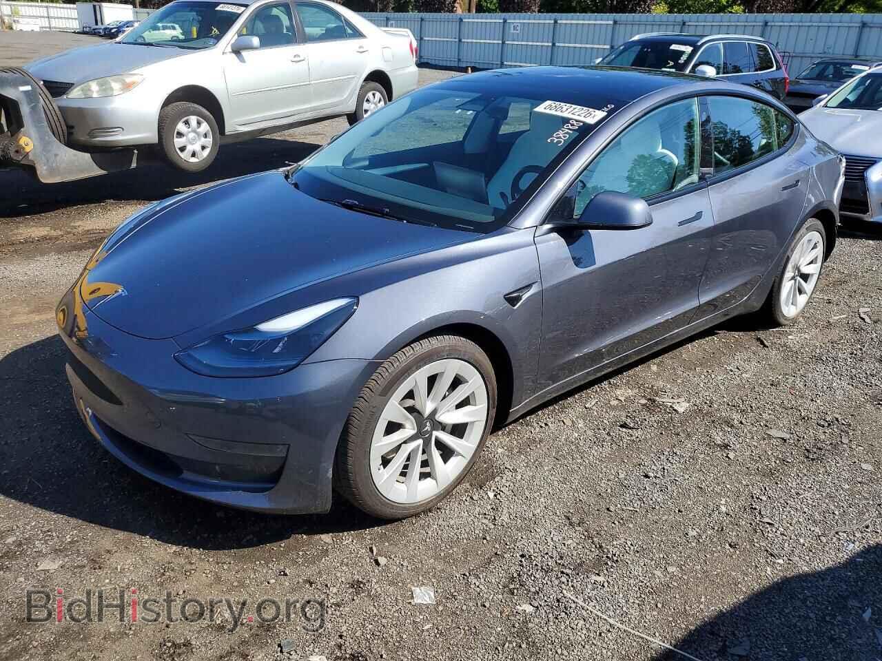 Фотография 5YJ3E1EA3PF646568 - TESLA MODEL 3 2023