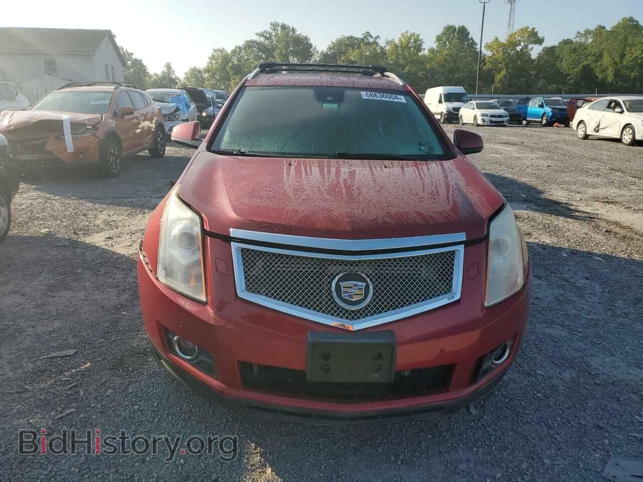 2011 CADILLAC SRX - VIN: 3GYFNFE64BS500034 - Фото 5