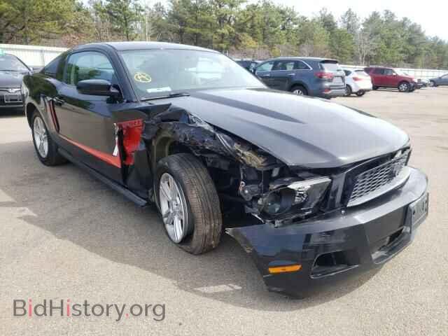 Фотография 1ZVBP8AN5A5133433 - FORD ALL Models 2010