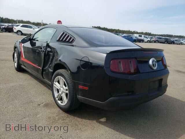 2010 FORD ALL Models - VIN: 1ZVBP8AN5A5133433 - Фото 3