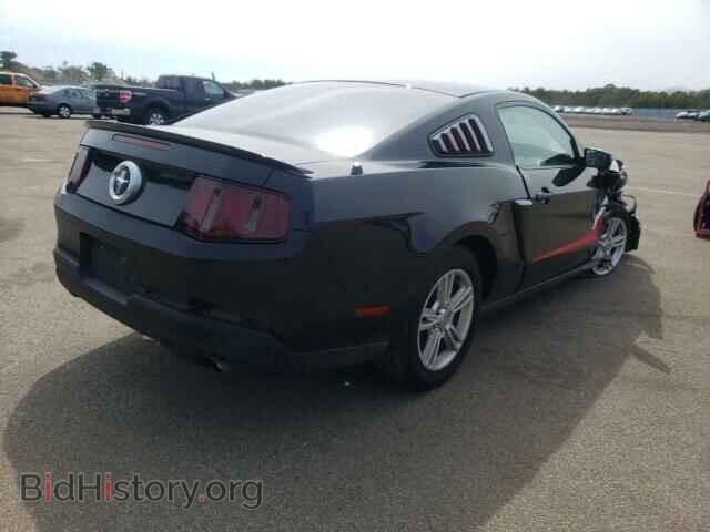2010 FORD ALL Models - VIN: 1ZVBP8AN5A5133433 - Фото 4