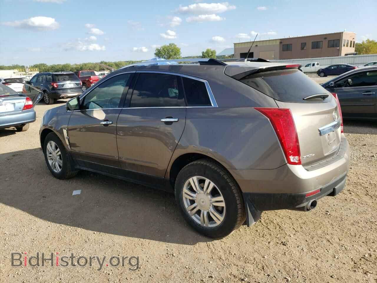 2011 CADILLAC SRX - VIN: 3GYFNDEY1BS553943 - Фото 2
