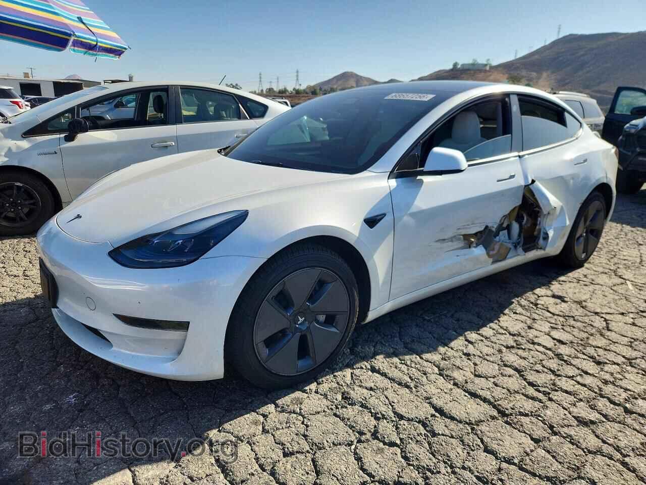 Photo 5YJ3E1EA2PF544159 - TESLA MODEL 3 2023