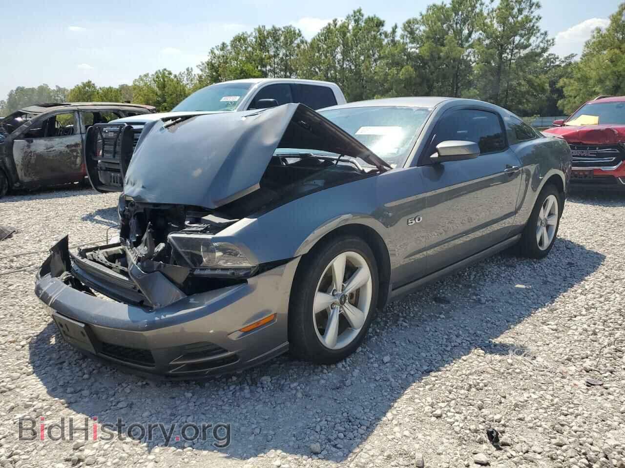 Фотография 1ZVBP8CF9E5228766 - FORD MUSTANG 2014