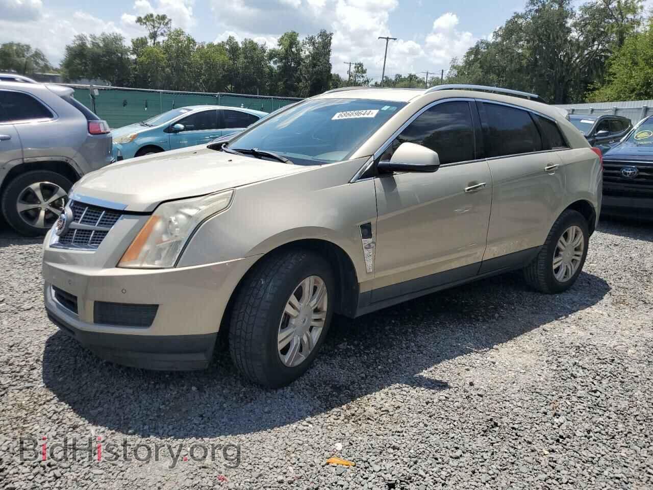 Фотография 3GYFNAEY4BS646776 - CADILLAC SRX 2011