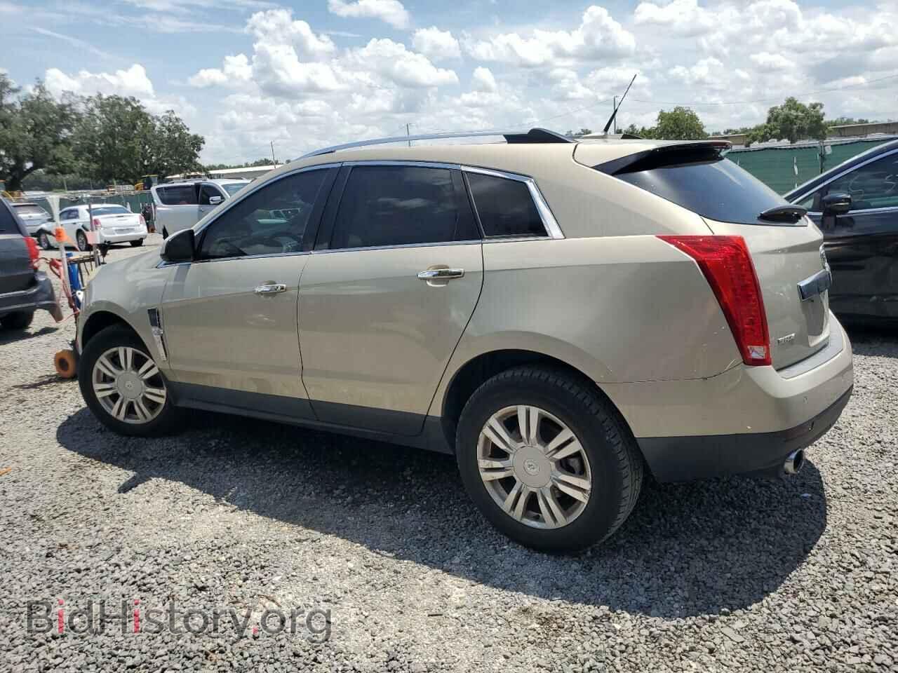 2011 CADILLAC SRX - VIN: 3GYFNAEY4BS646776 - Фото 2