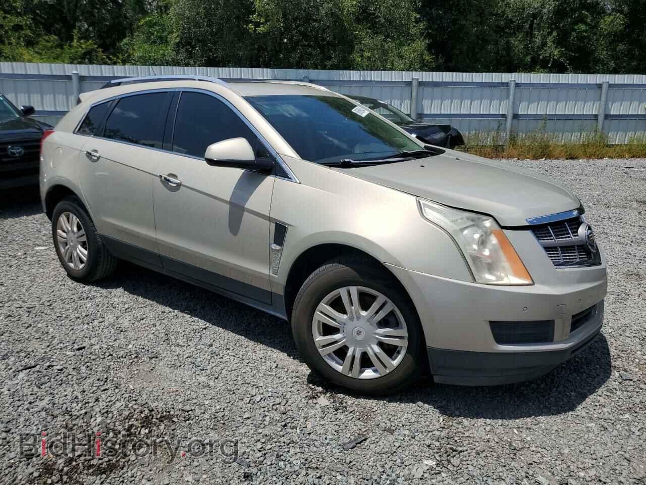 2011 CADILLAC SRX - VIN: 3GYFNAEY4BS646776 - Фото 4