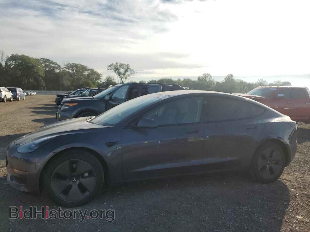 Photo 5YJ3E1EB8MF974654 - TESLA MODEL 3 2021
