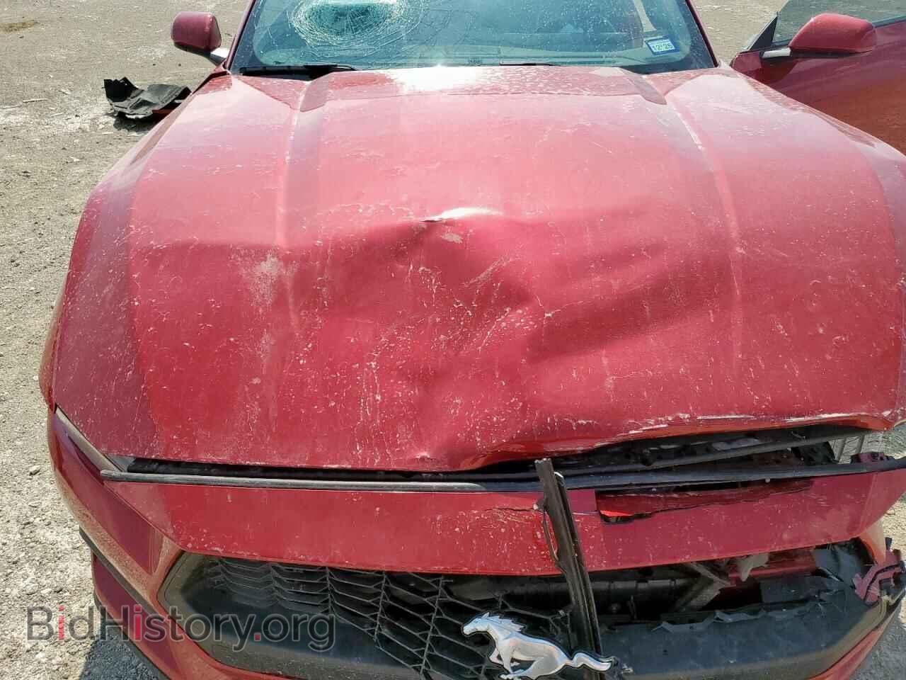 2024 FORD ALL Models - VIN: 1FA6P8TH0R5113362 - Photo 11