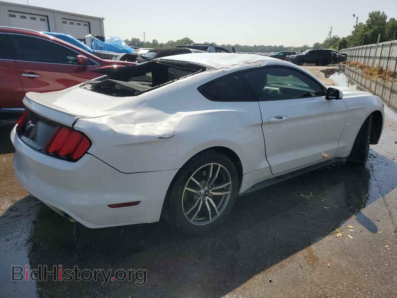 2016 FORD ALL Models - VIN: 1FA6P8TH2G5241003 - Фото 3