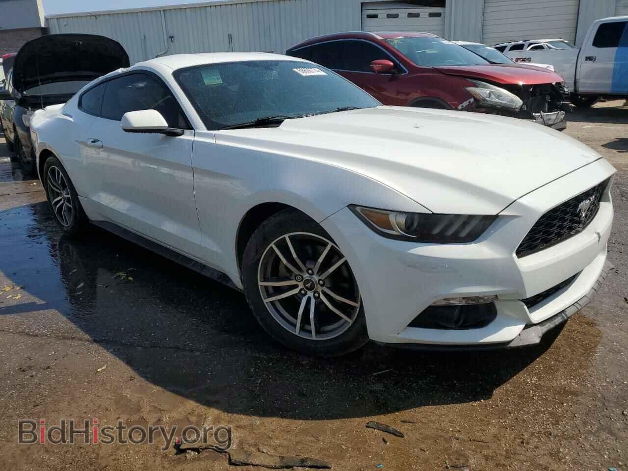 2016 FORD ALL Models - VIN: 1FA6P8TH2G5241003 - Фото 4