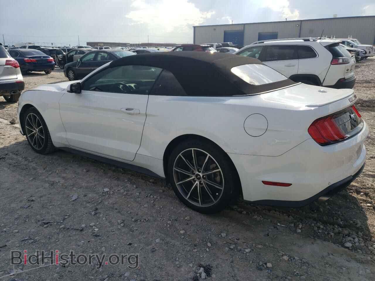 2019 FORD ALL Models - VIN: 1FATP8UH2K5115041 - Photo 2