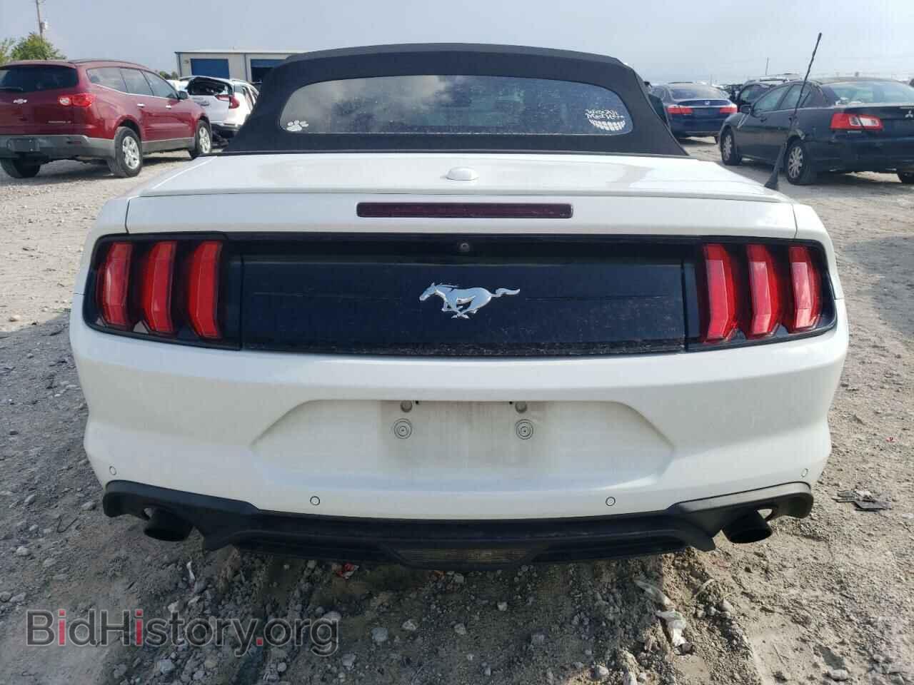 2019 FORD ALL Models - VIN: 1FATP8UH2K5115041 - Photo 6