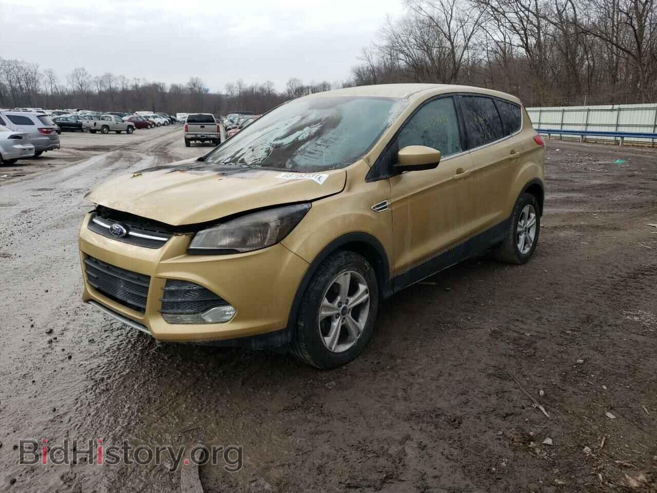 2014 FORD ESCAPE - VIN: 1FMCU0GX4EUB95858 - Фото 2
