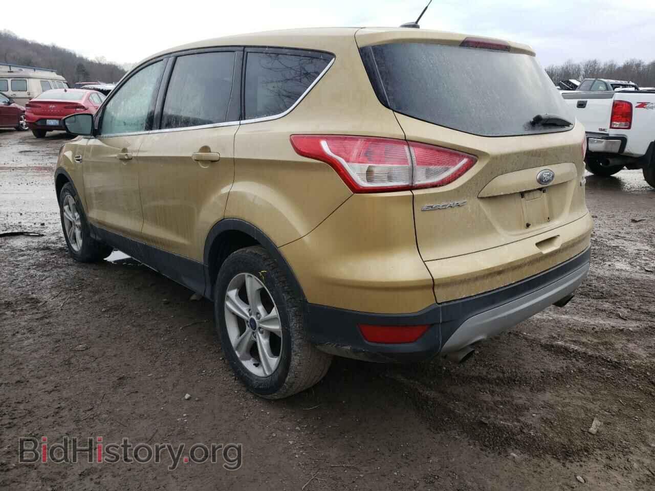 2014 FORD ESCAPE - VIN: 1FMCU0GX4EUB95858 - Фото 3