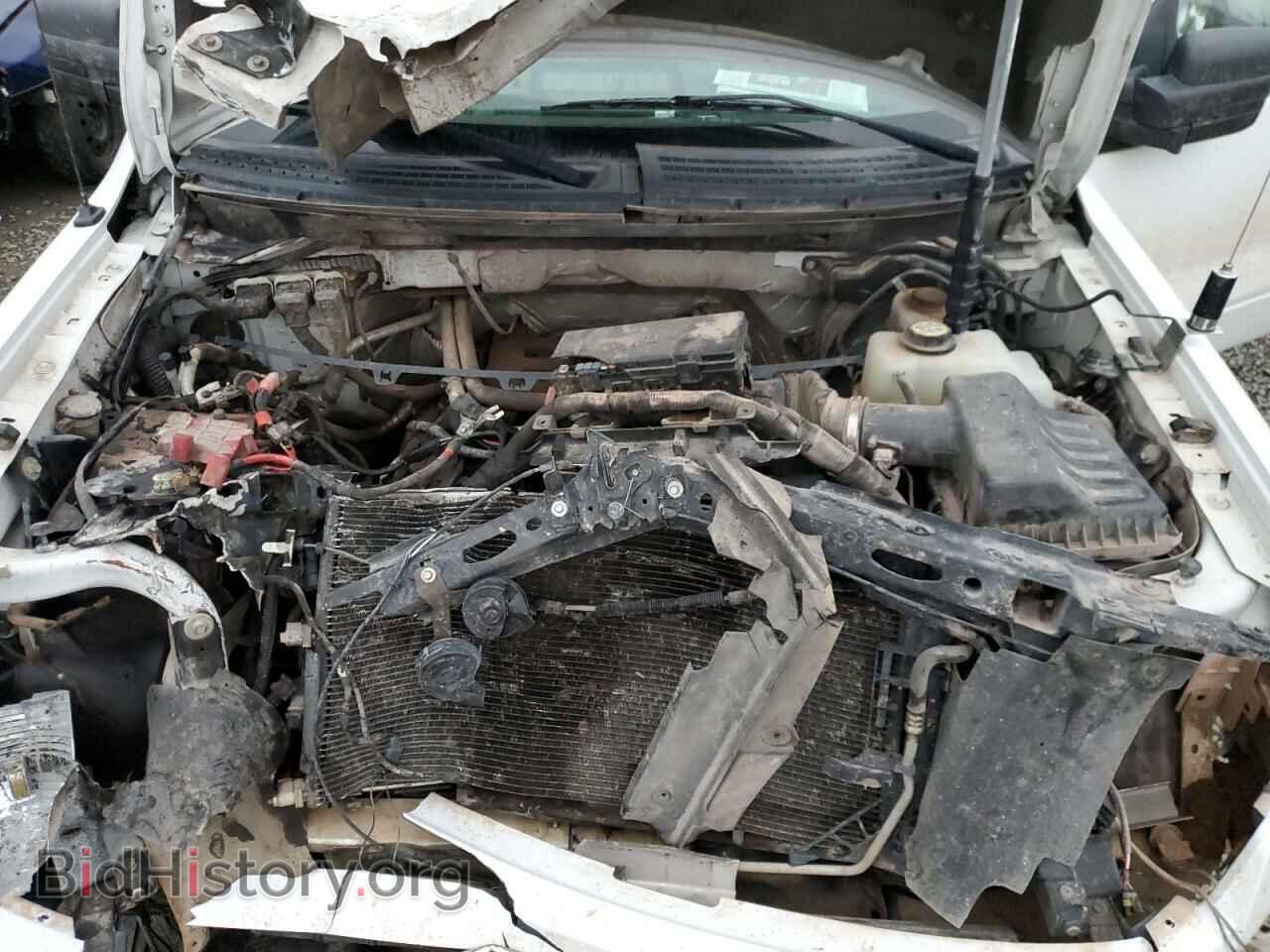 2011 FORD F-150 - VIN: 1FTFX1EF5BFA44729 - Фото 11