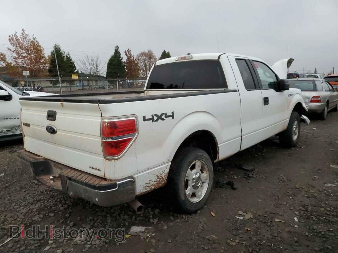 2011 FORD F-150 - VIN: 1FTFX1EF5BFA44729 - Фото 3