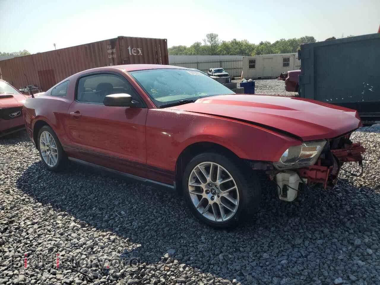 2010 FORD ALL Models - VIN: 1ZVBP8AN4A5149624 - Фото 4