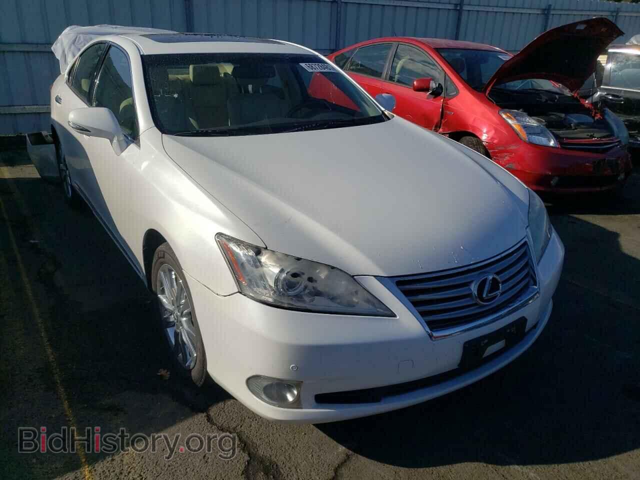 Photo JTHBK1EG5B2467774 - LEXUS ES350 2011