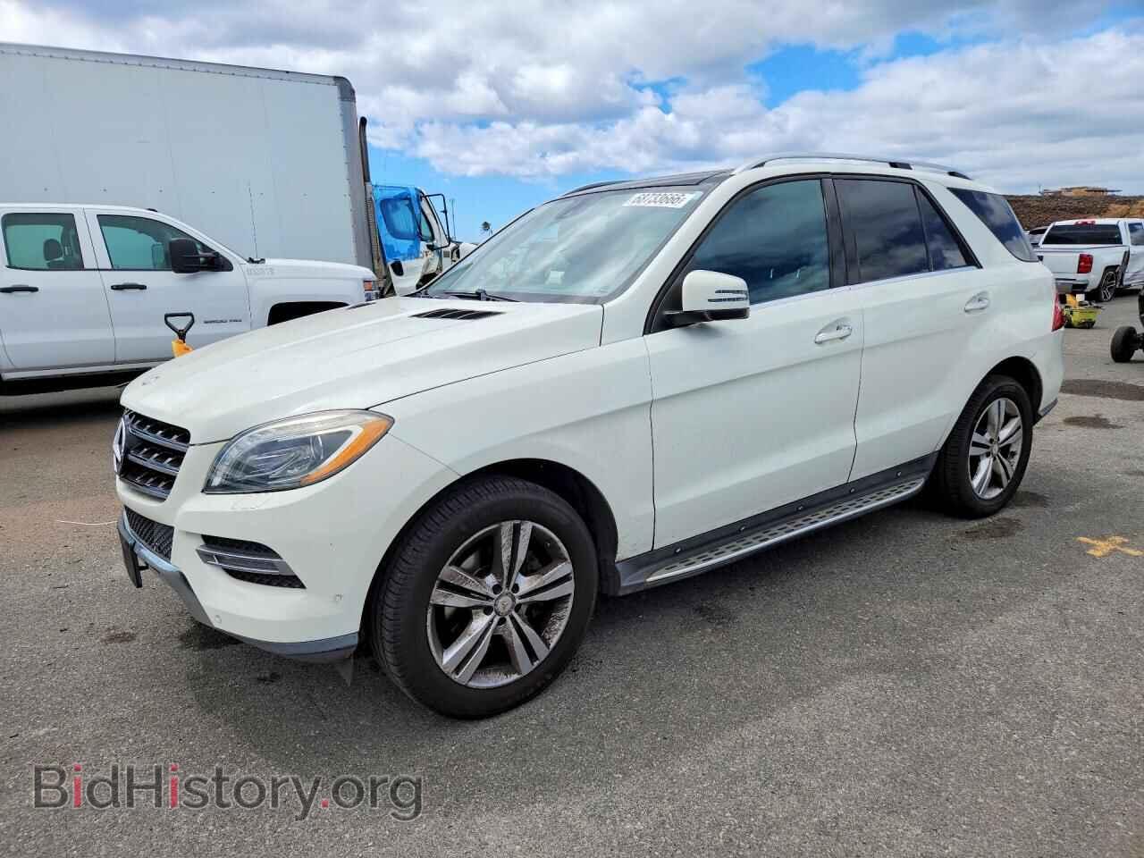 Photo 4JGDA5JB5DA252169 - MERCEDES-BENZ M-CLASS 2013