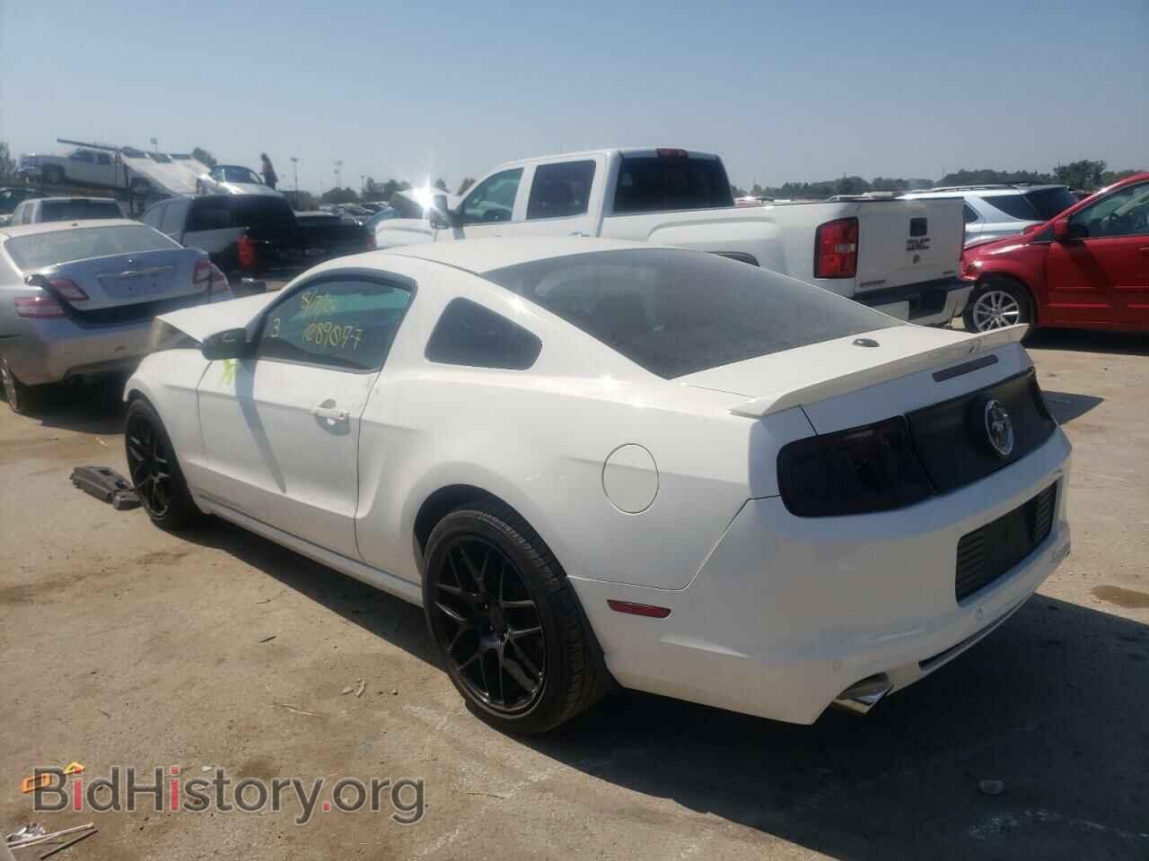 2013 FORD ALL Models - VIN: 1ZVBP8AM4D5260699 - Фото 2