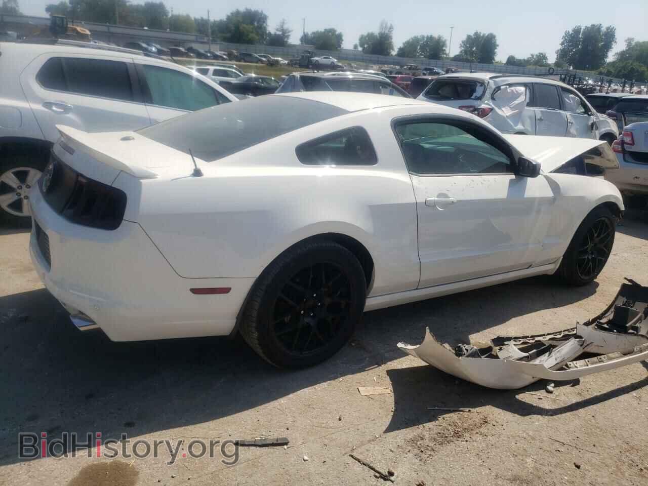 2013 FORD ALL Models - VIN: 1ZVBP8AM4D5260699 - Фото 3