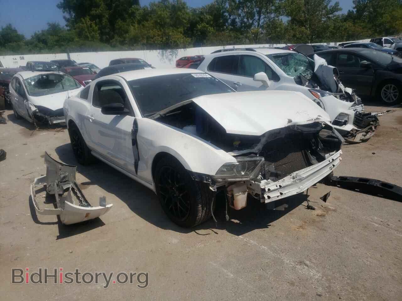 2013 FORD ALL Models - VIN: 1ZVBP8AM4D5260699 - Фото 4