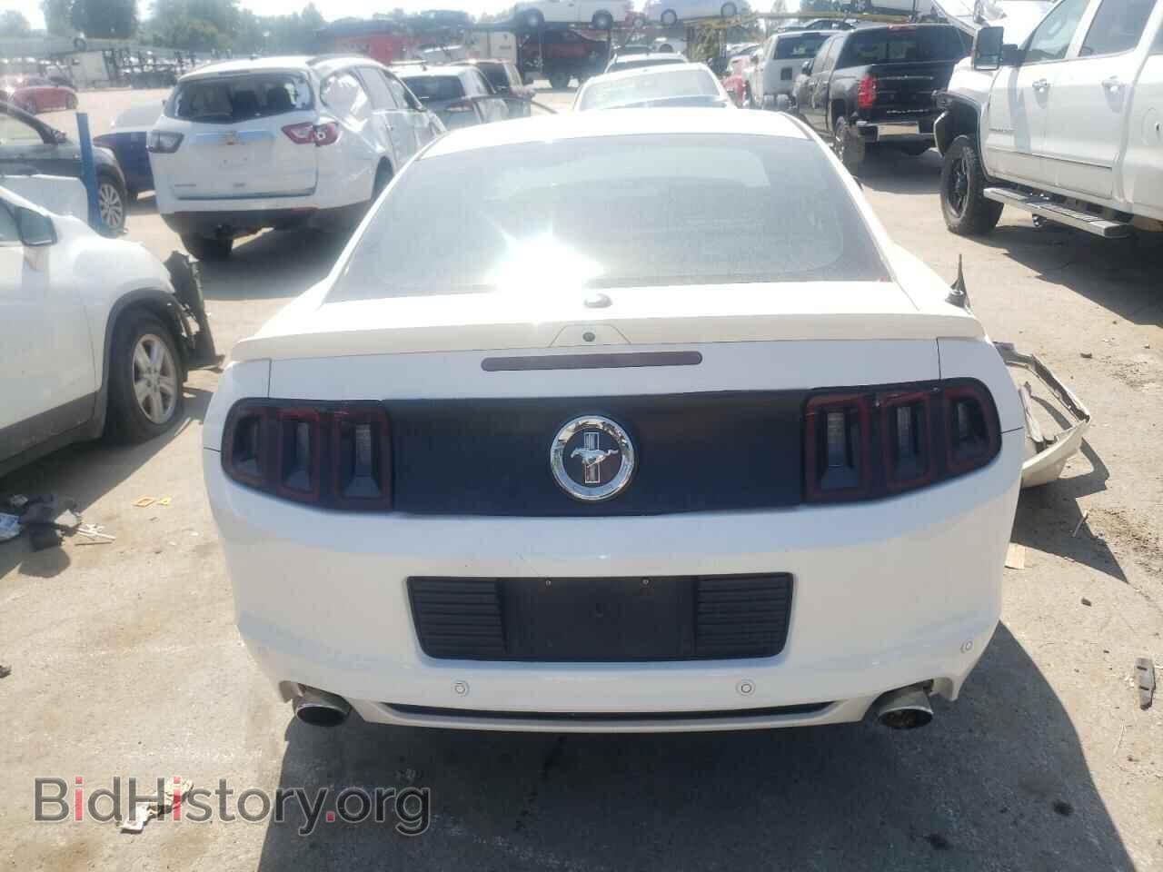 2013 FORD ALL Models - VIN: 1ZVBP8AM4D5260699 - Фото 6