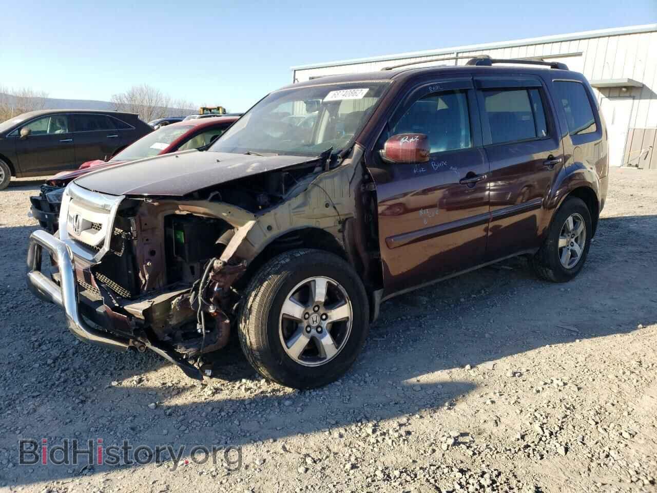 Фотография 5FNYF48639B005077 - HONDA PILOT 2009