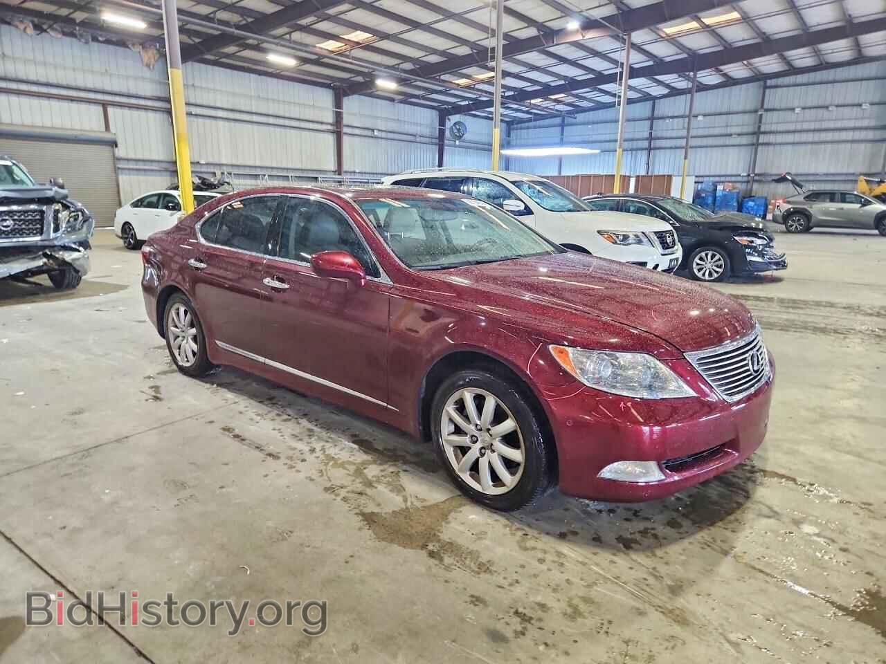 2009 LEXUS LS460 - VIN: JTHBL46F095090932 - Фото 4