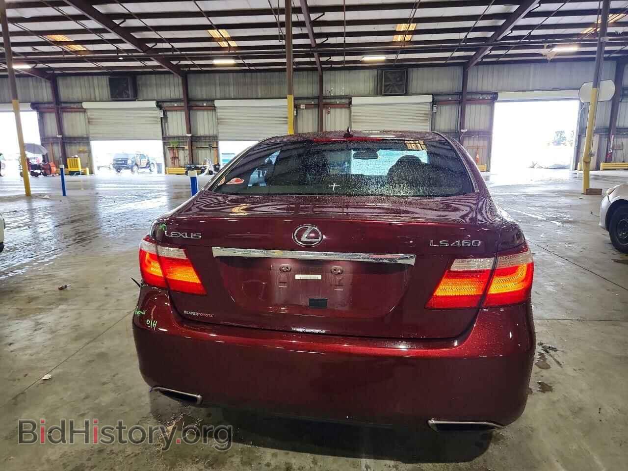 2009 LEXUS LS460 - VIN: JTHBL46F095090932 - Фото 6