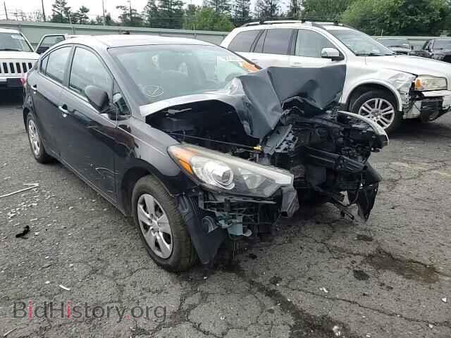 2015 KIA FORTE - VIN: KNAFK4A65F5436625 - Фото 13