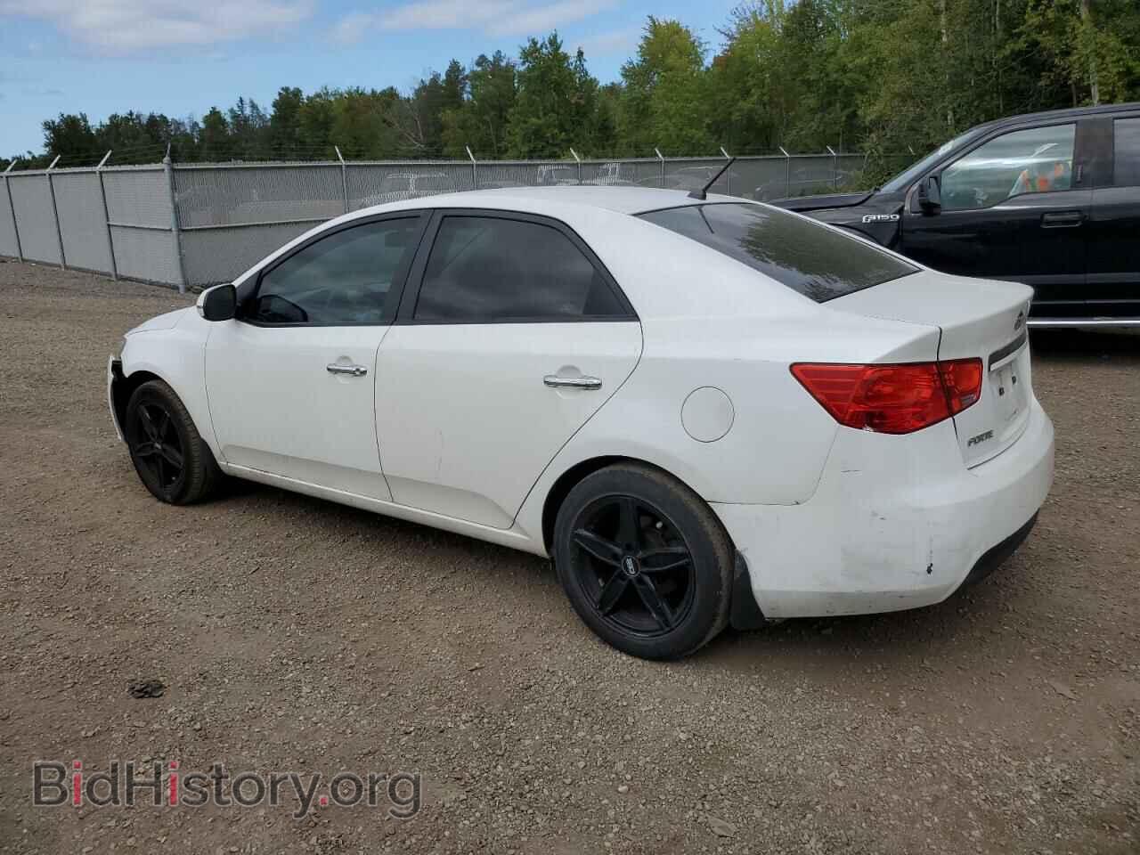 2012 KIA FORTE - VIN: KNAFU4A21C5583561 - Фото 2