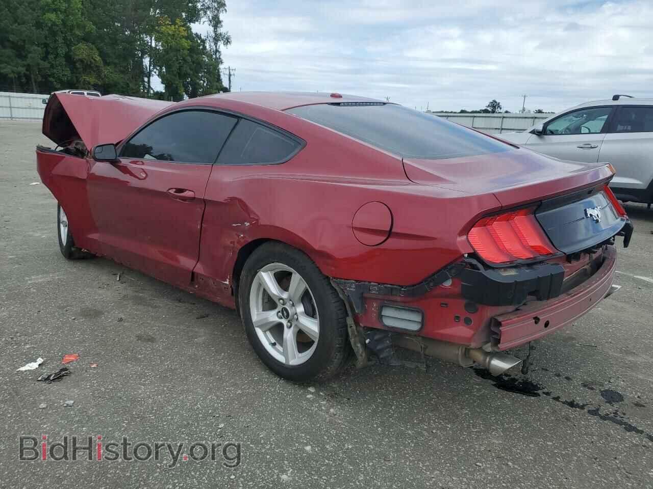 2019 FORD ALL Models - VIN: 1FA6P8TH5K5203869 - Photo 2